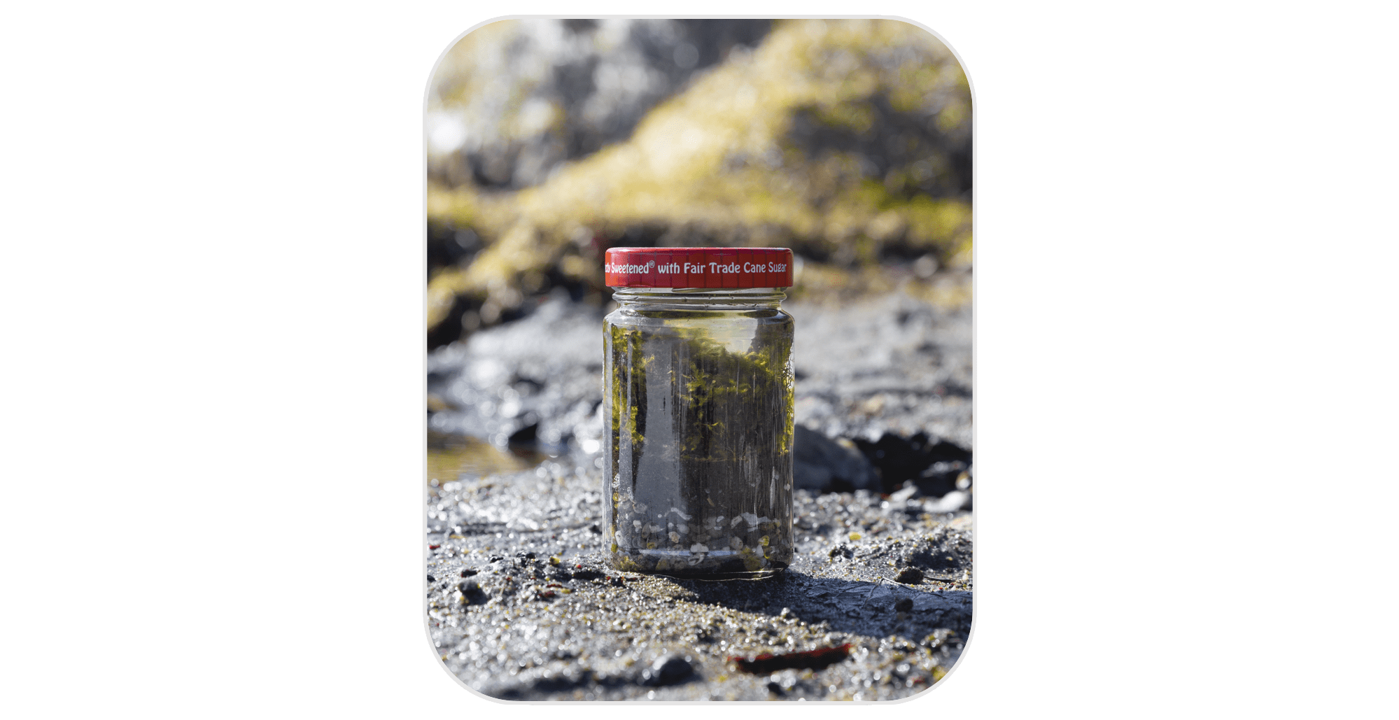 Ecosphere_Final