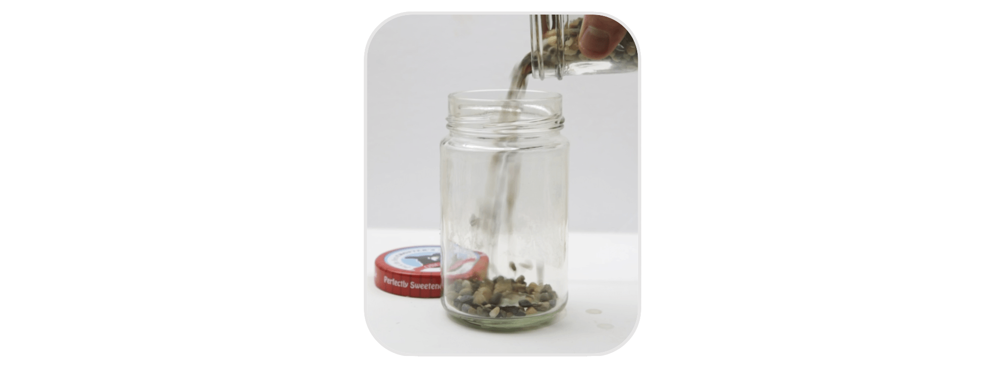 Ecosphere_Step2