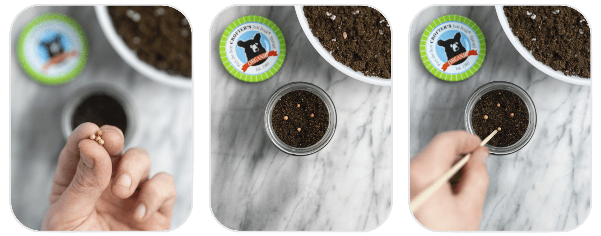 Planters_Seeds